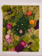 Bellwoods - Moss Art