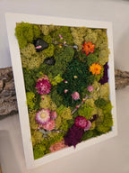 Bellwoods - Moss Art