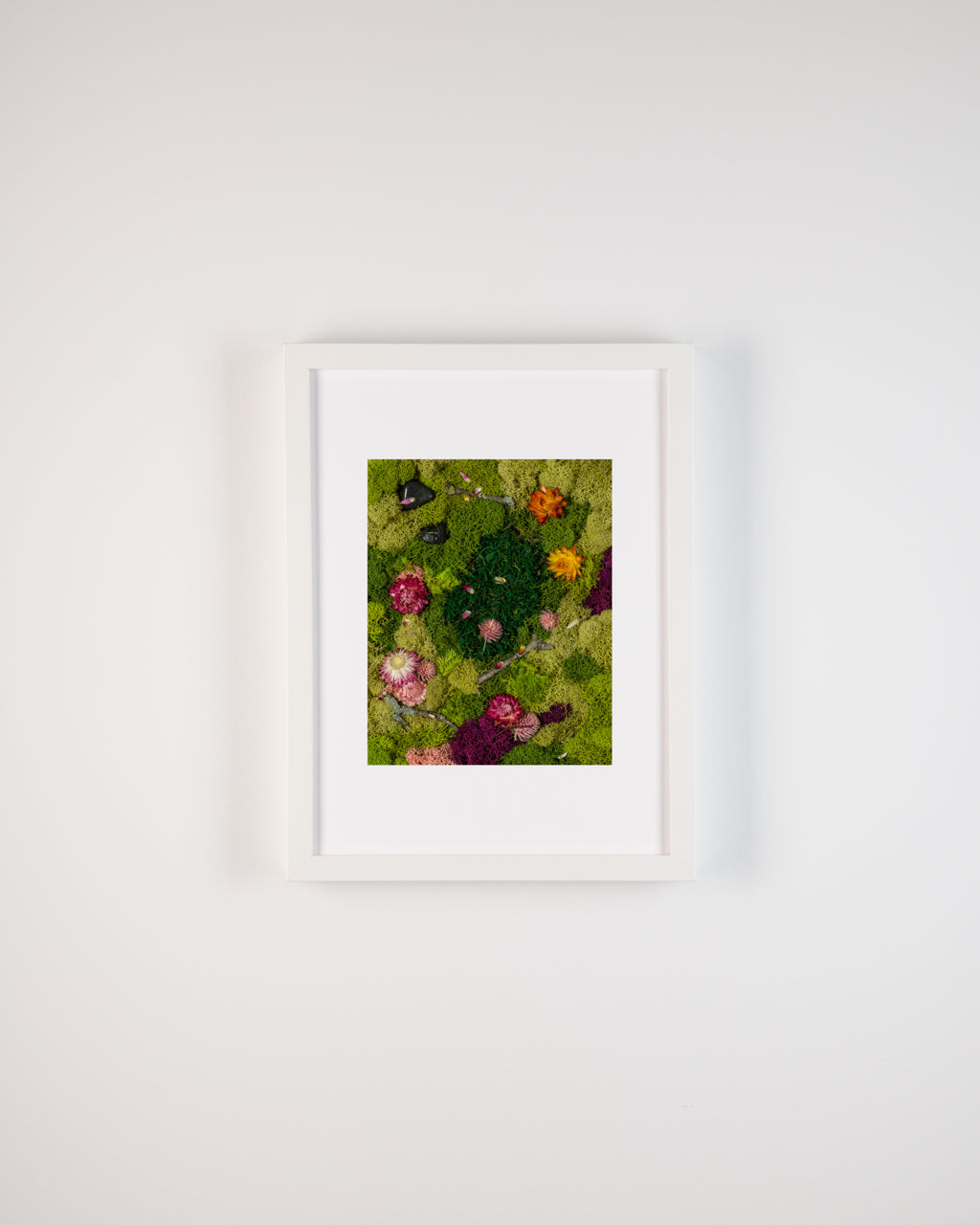 Bright and dark green moss wall with coloured flowers and wood sticks fine art print on a white wall in frame