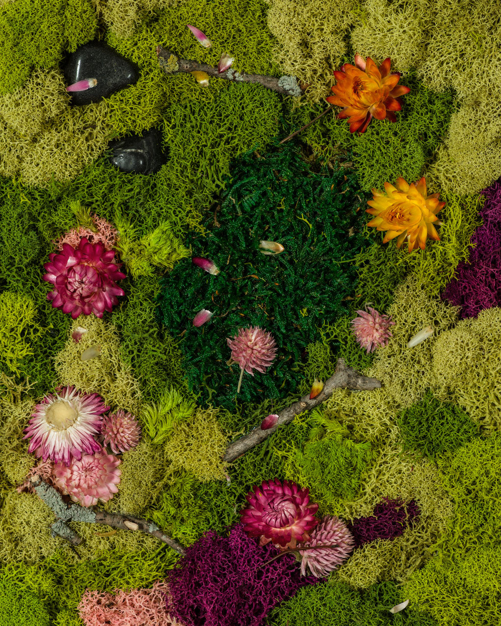 Bright and dark green moss wall with coloured flowers and wood sticks fine art print