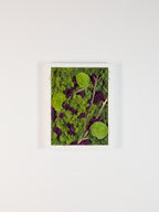 Beneath The Surface - Moss Art