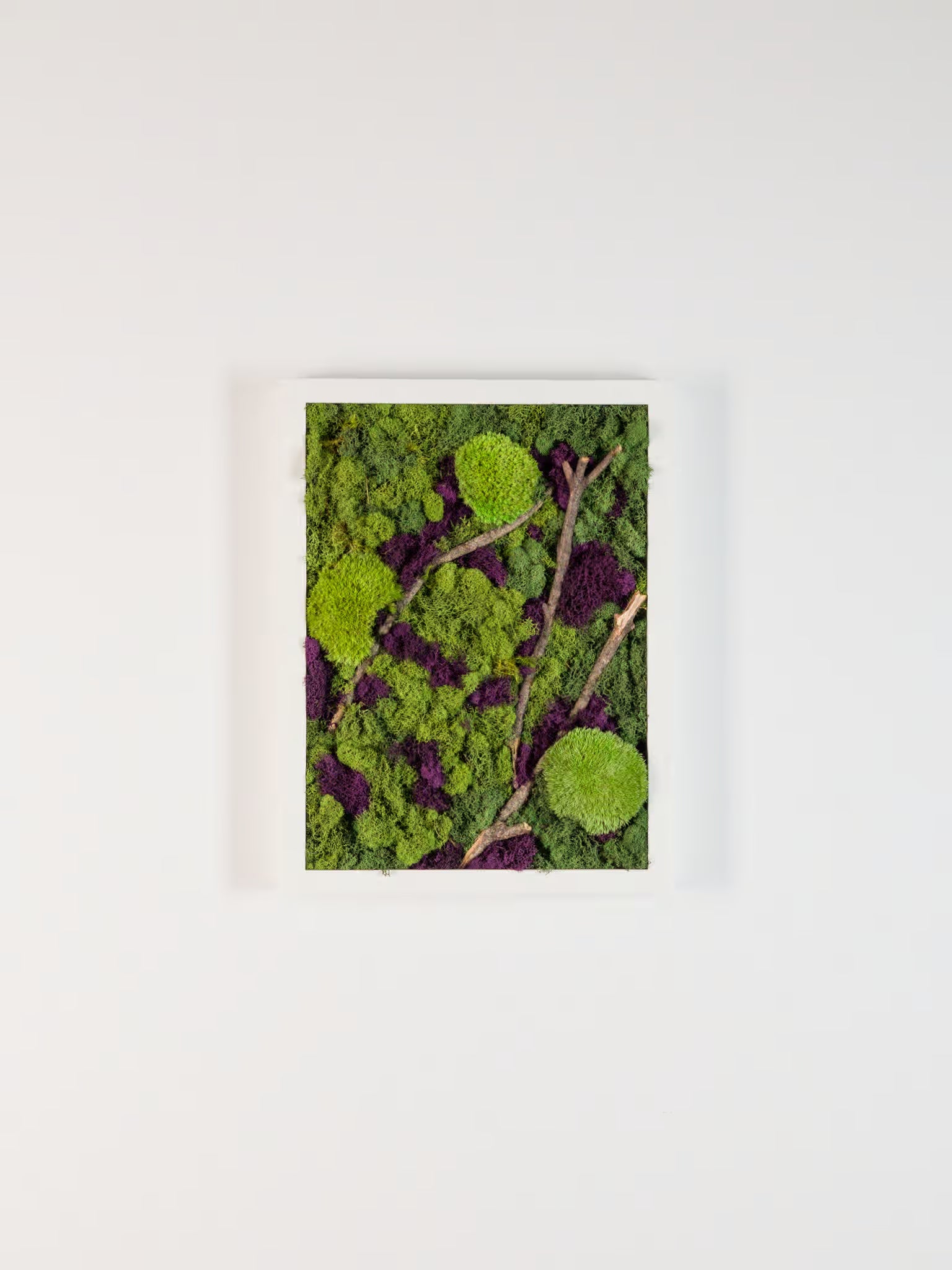 Beneath The Surface - Moss Art