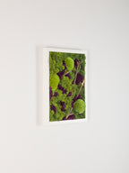 Beneath The Surface - Moss Art