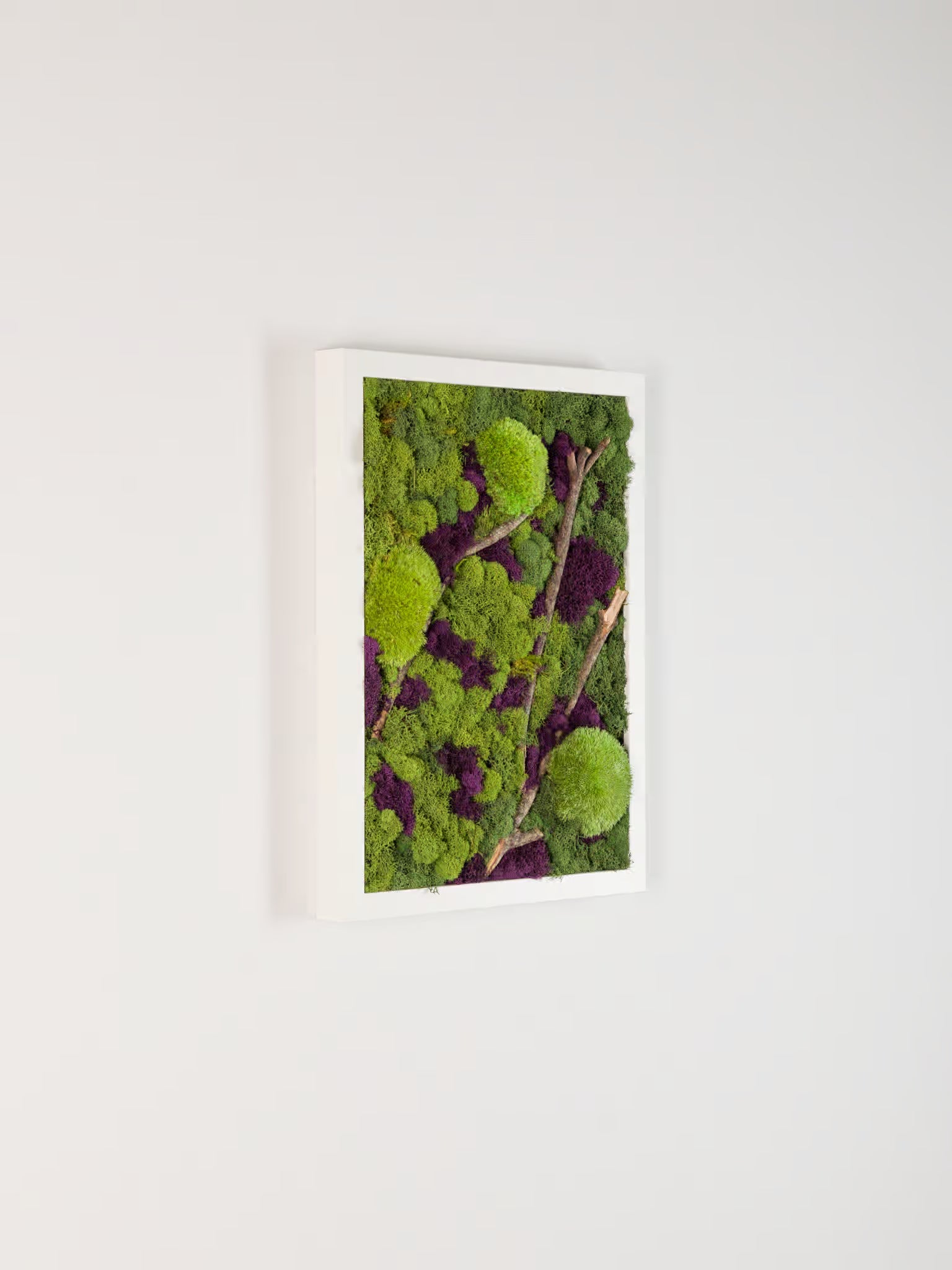 Beneath The Surface - Moss Art