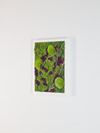 Beneath The Surface - Moss Art