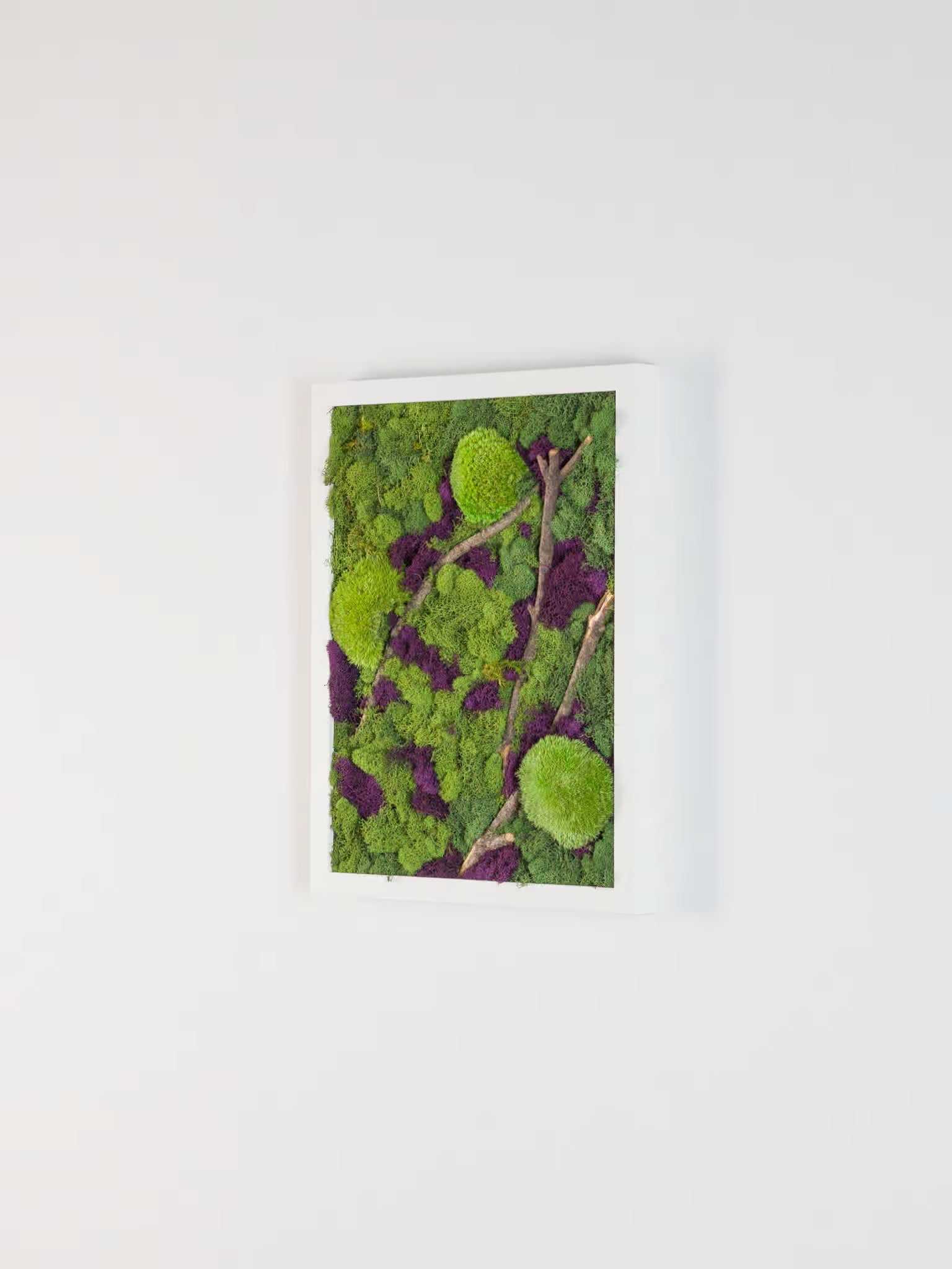 Beneath The Surface - Moss Art