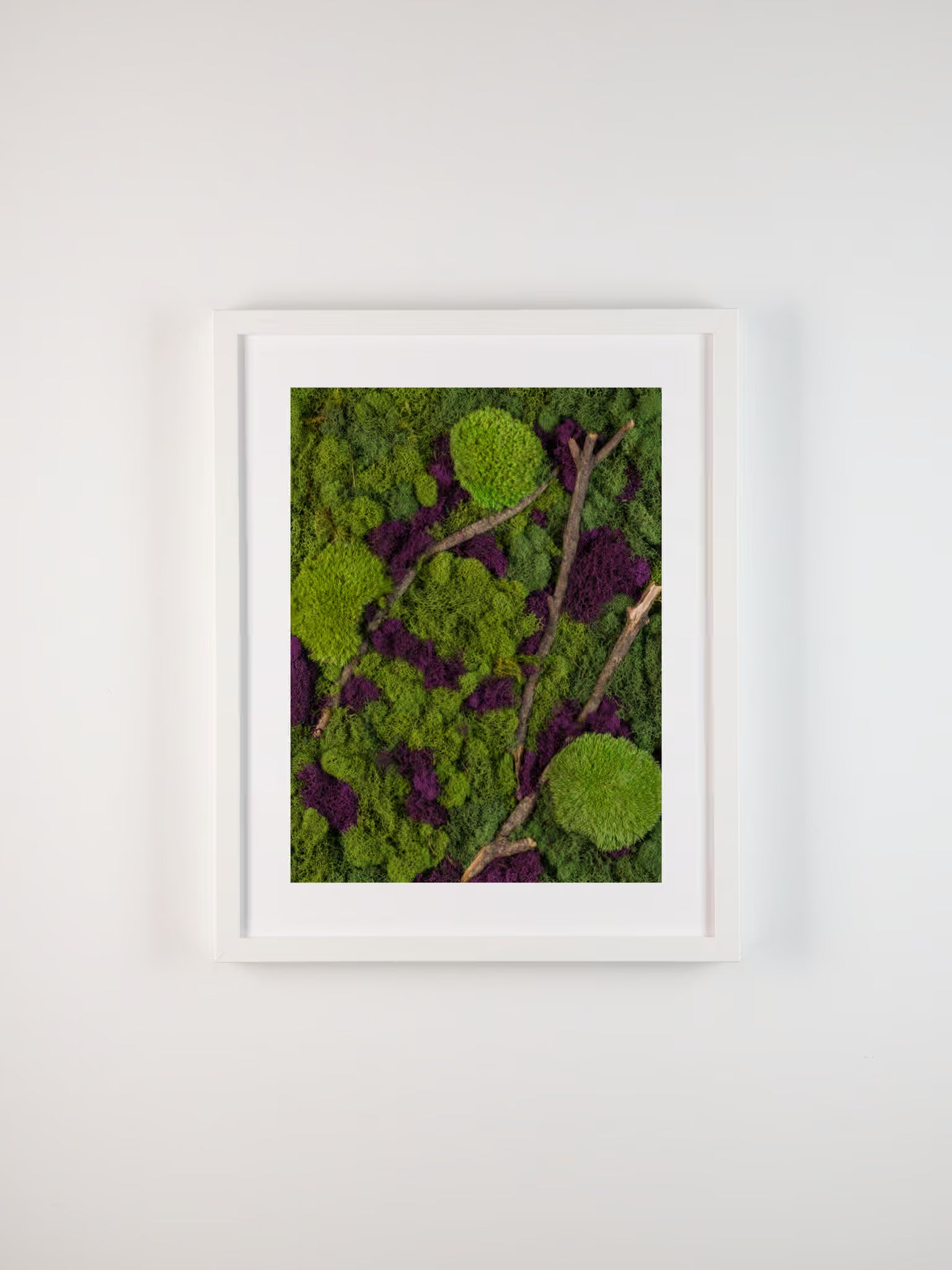 Framed artwork of green and purple moss on a white wall