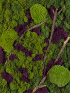 Green and purple moss with branches fine art print