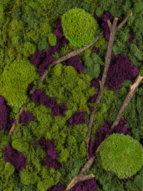 Green and purple moss with branches fine art print