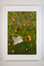 Framed artwork of gradient moss wall with birch bark and vibrant flowers fine art print