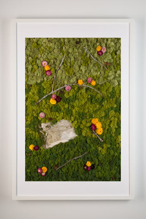 Framed artwork of gradient moss wall with birch bark and vibrant flowers fine art print
