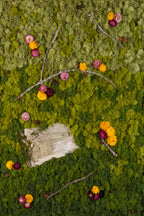 Gradient moss wall with birch bark and vibrant flowers fine art print
