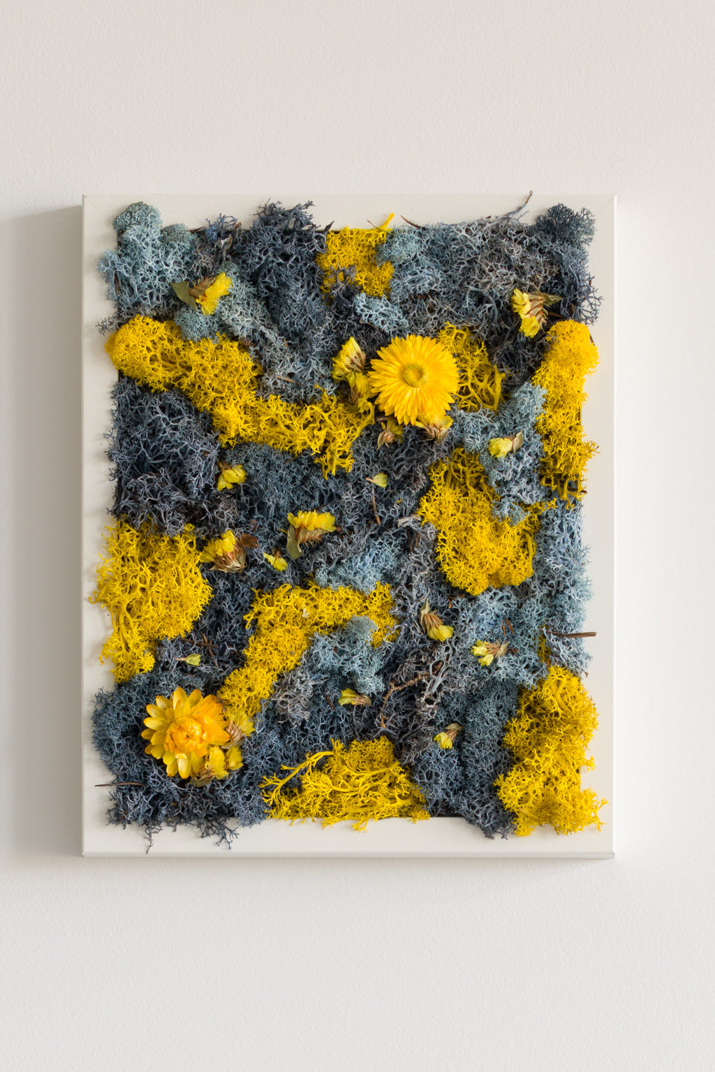 Birds Of Paradise - Moss Art