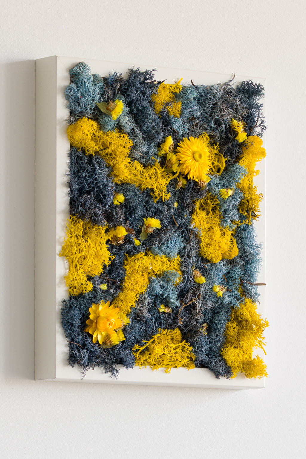 Birds Of Paradise - Moss Art