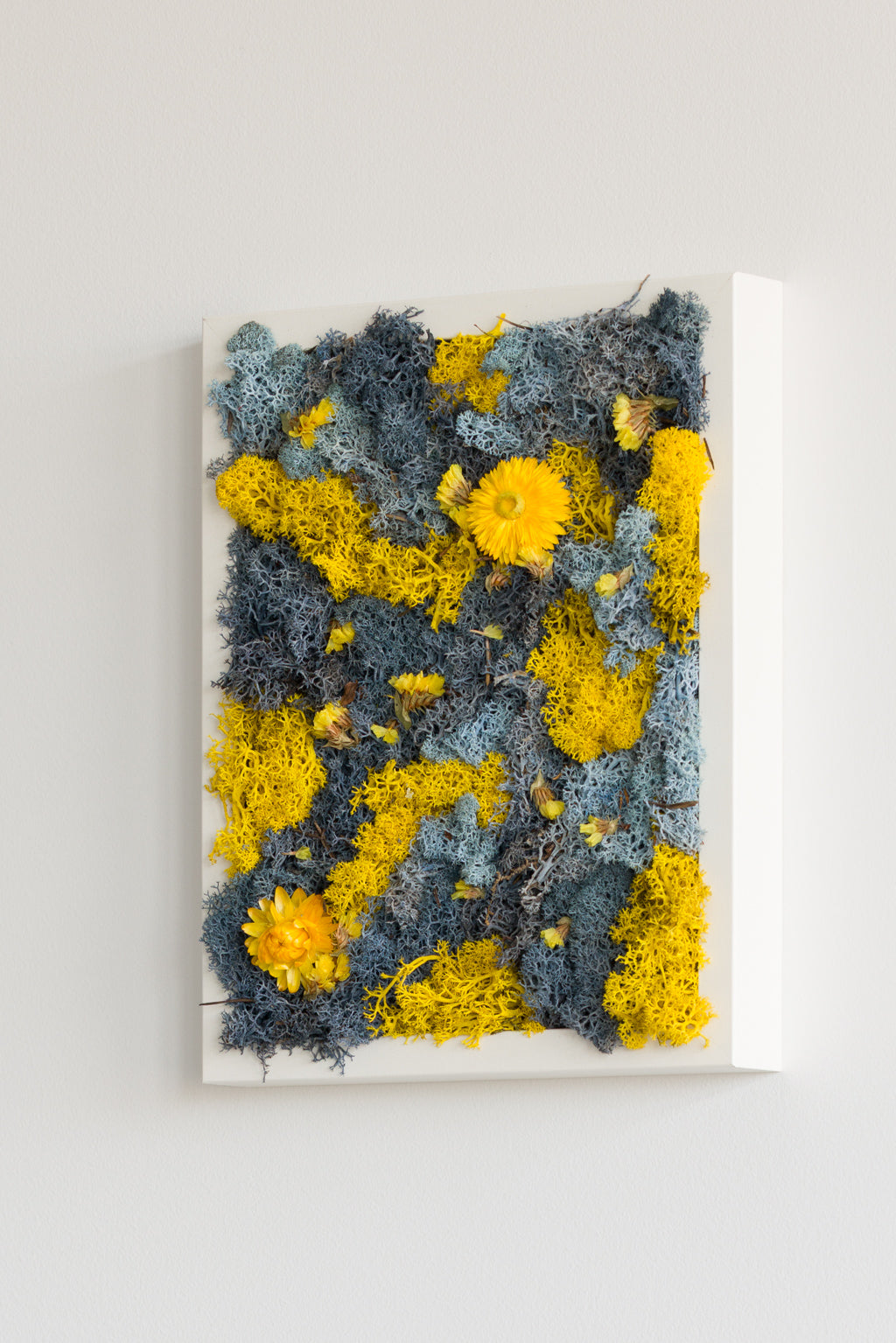 Birds Of Paradise - Moss Art