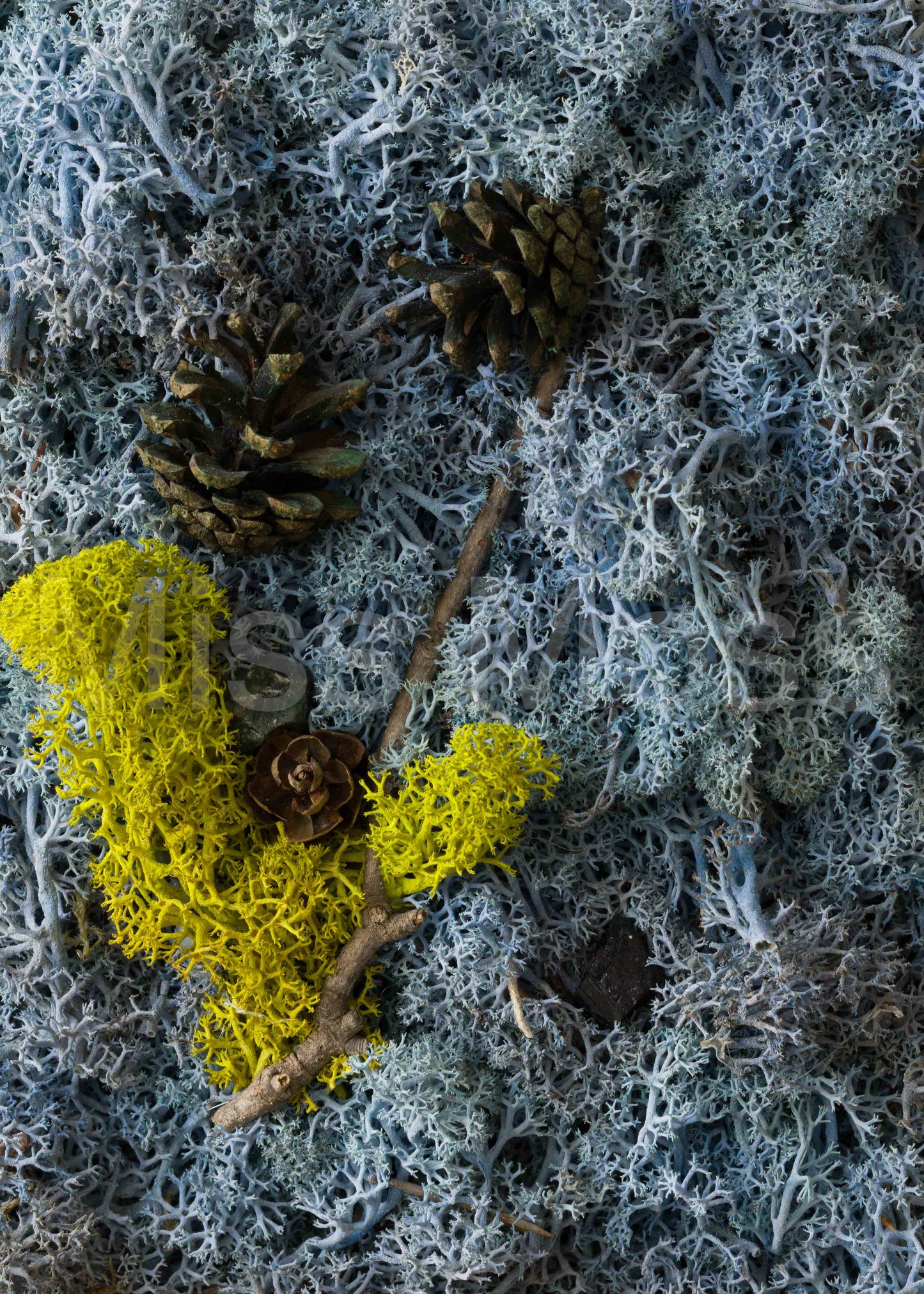 High Tide - Print