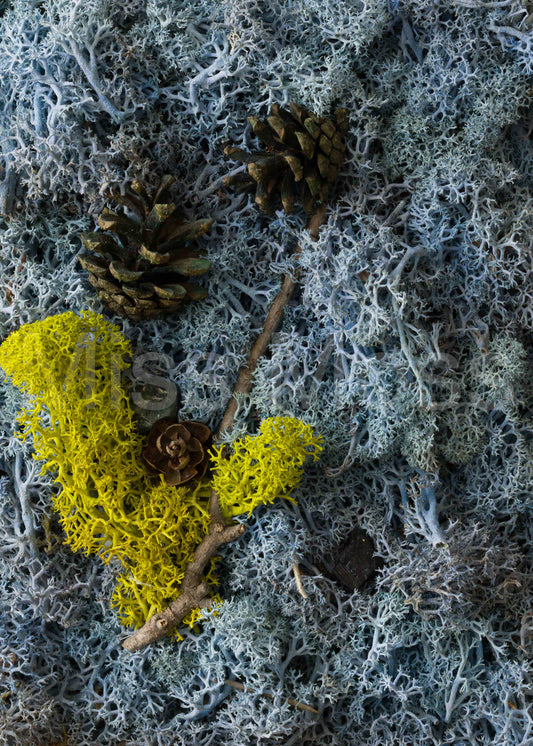 High Tide - Print