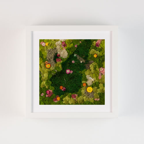 Green moss wall with colourful pink, orange, and yellow flowers fine art print show in frame