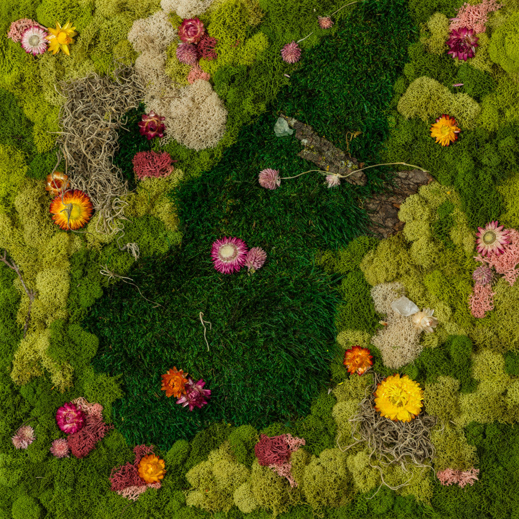 Green moss wall with colourful pink, orange, and yellow flowers fine art print