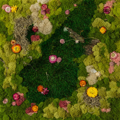 By The Meadow - Fine Art Print