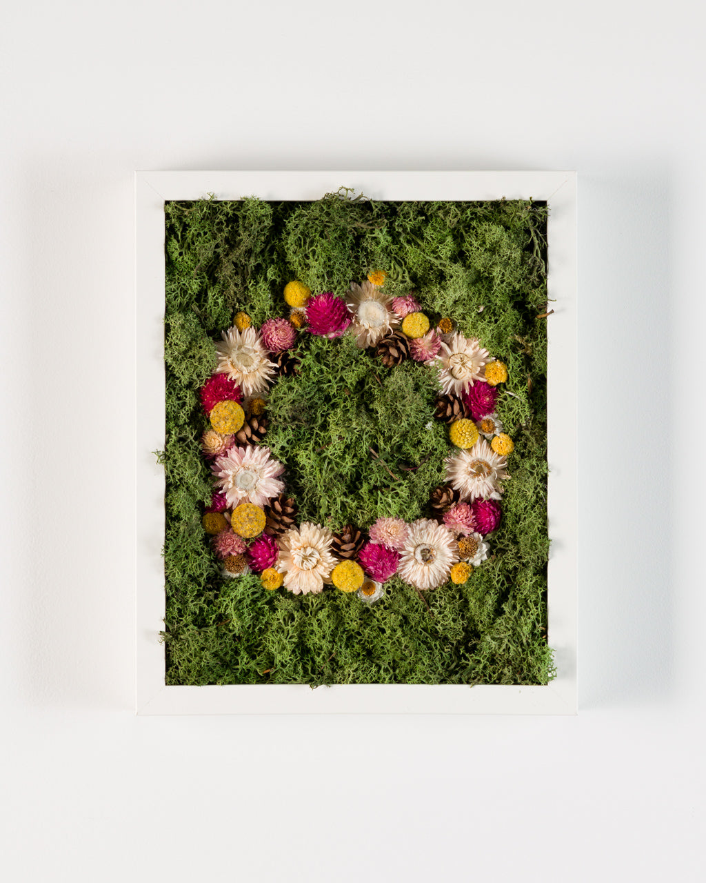 Coachella - Moss Art