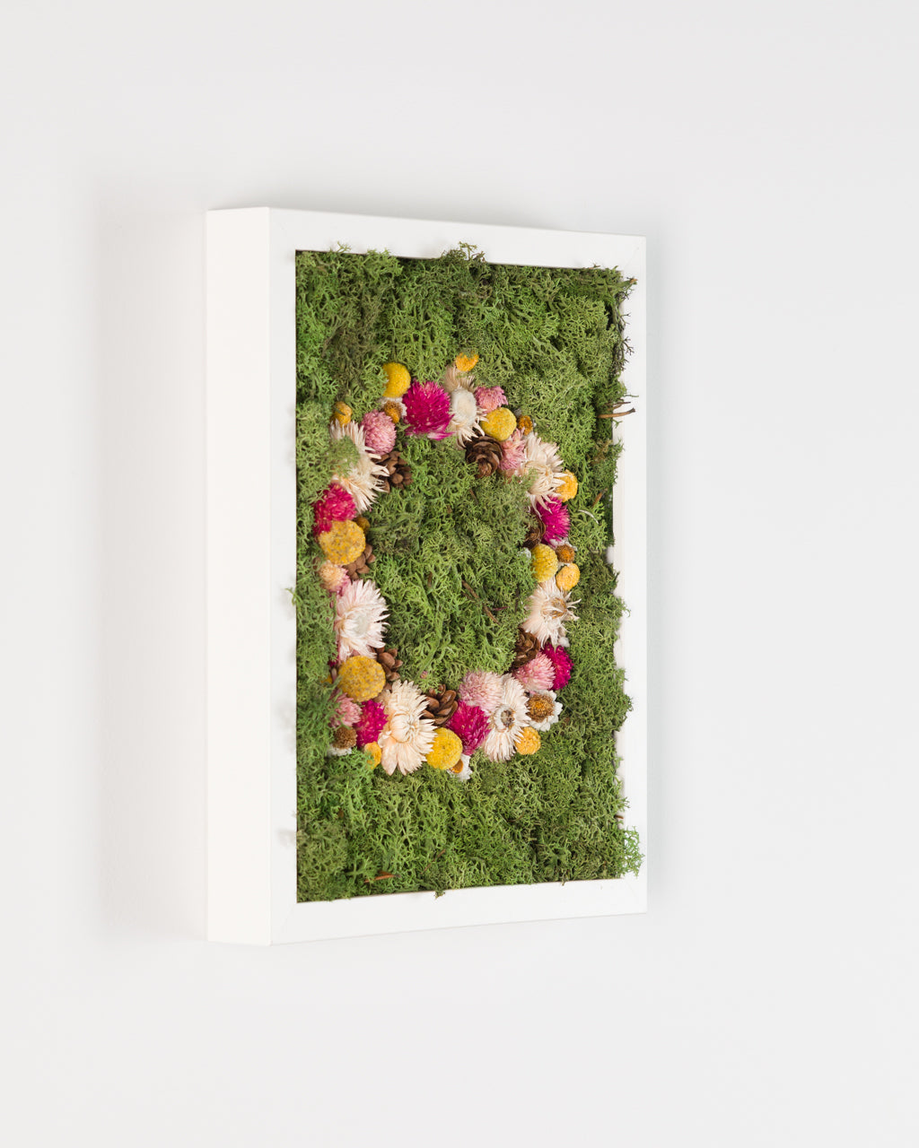 Coachella - Moss Art