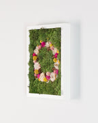 Coachella - Moss Art