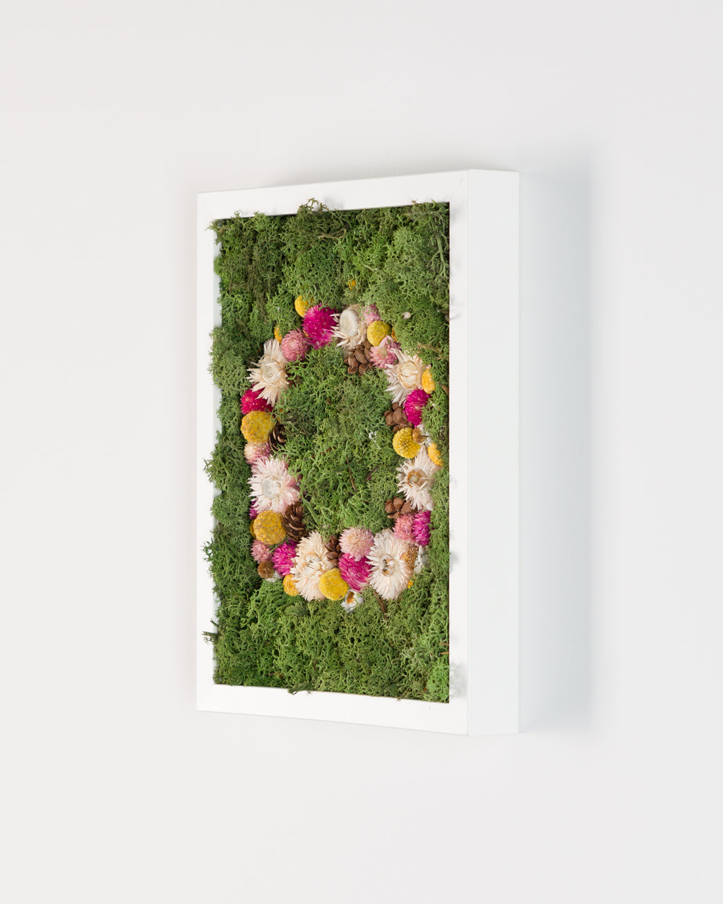 Coachella - Moss Art