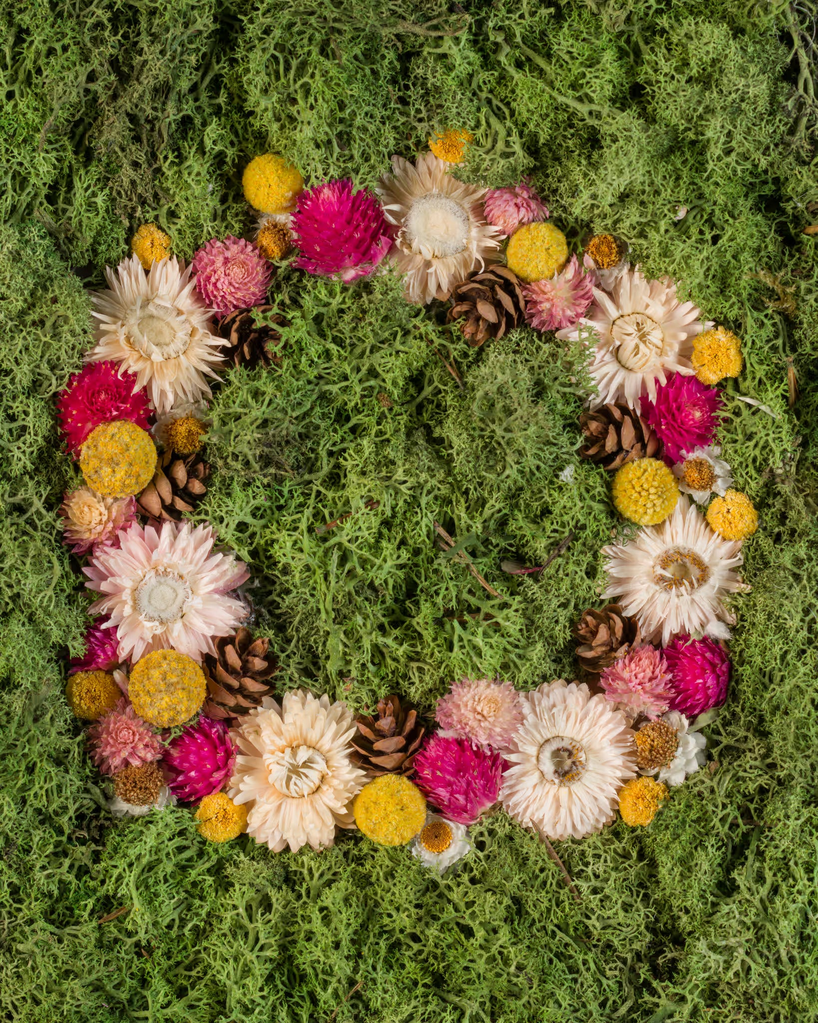 Floral wreath with pink, yellow, and white flowers on a green moss background fine art print