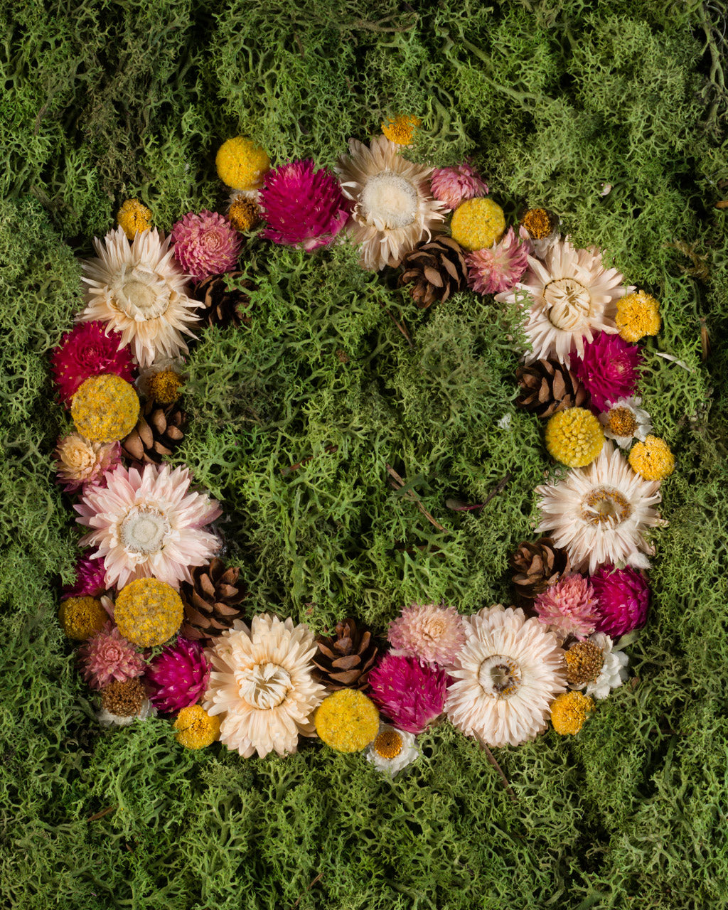 Coachella - Fine Art Print