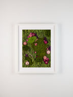 Framed artwork of a mix of green and deep purple mosses with vibrant purple and pink flowers fine art print