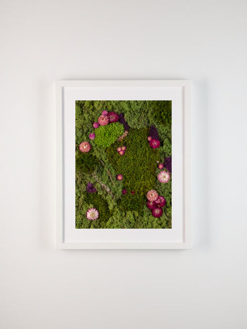 Framed artwork of a mix of green and deep purple mosses with vibrant purple and pink flowers fine art print
