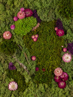 A mix of green and deep purple mosses with vibrant purple and pink flowers fine art print