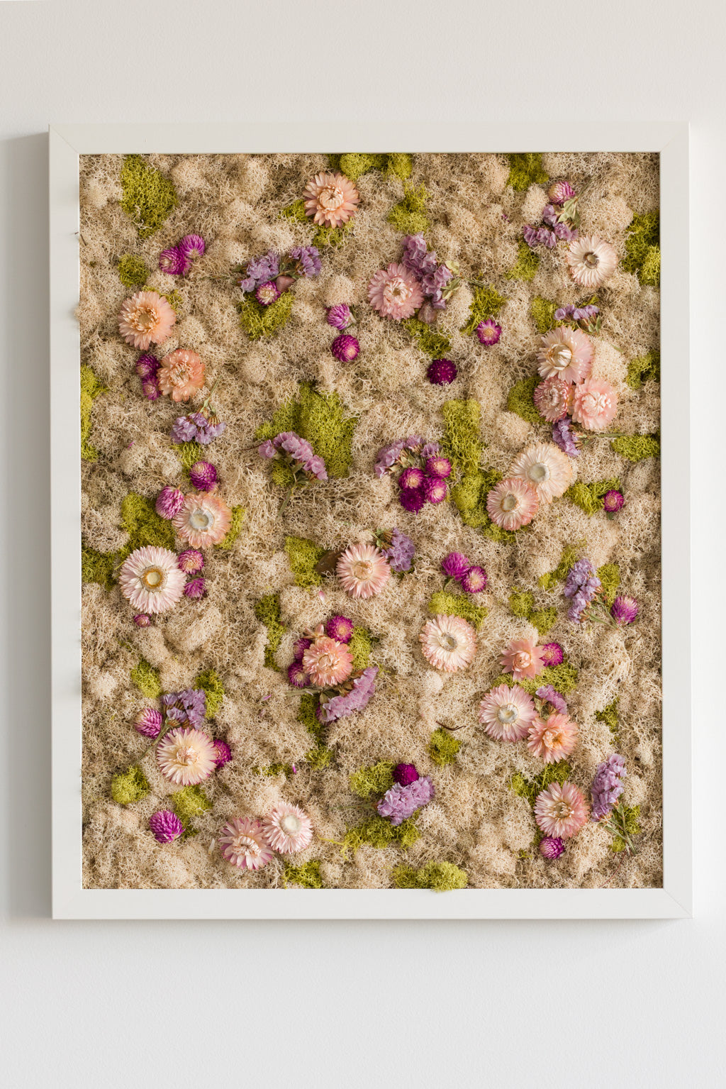 Cotton Candy - Moss Art