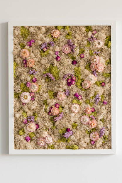 Cotton Candy - Moss Art