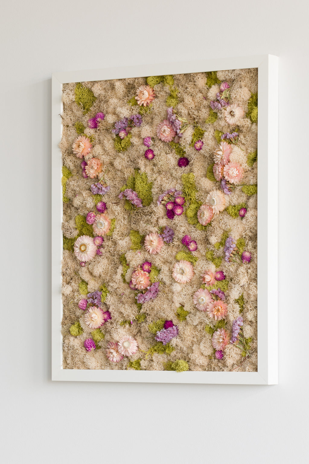 Cotton Candy - Moss Art