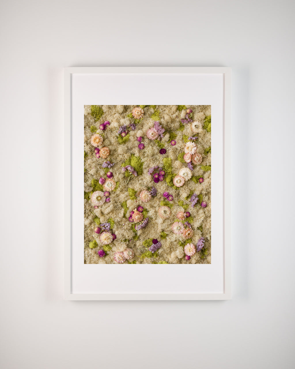 Cotton Candy - Fine Art Print