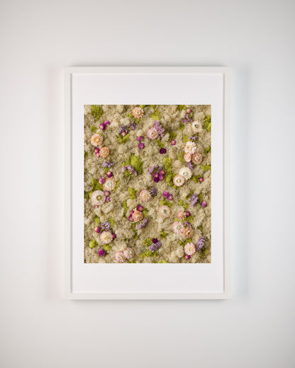 Cotton Candy - Fine Art Print