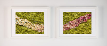 Debutantes - Fine Art Print Duo