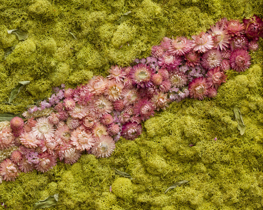 Debutantes - Fine Art Print Duo