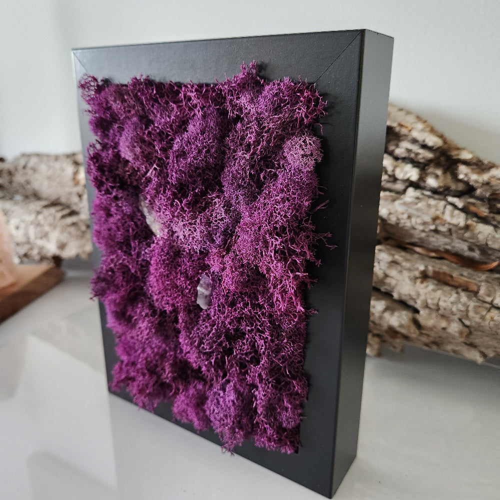 Deep Purple Moss & Amethyst Crystals