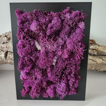 Deep Purple Moss & Amethyst Crystals - Moss Art