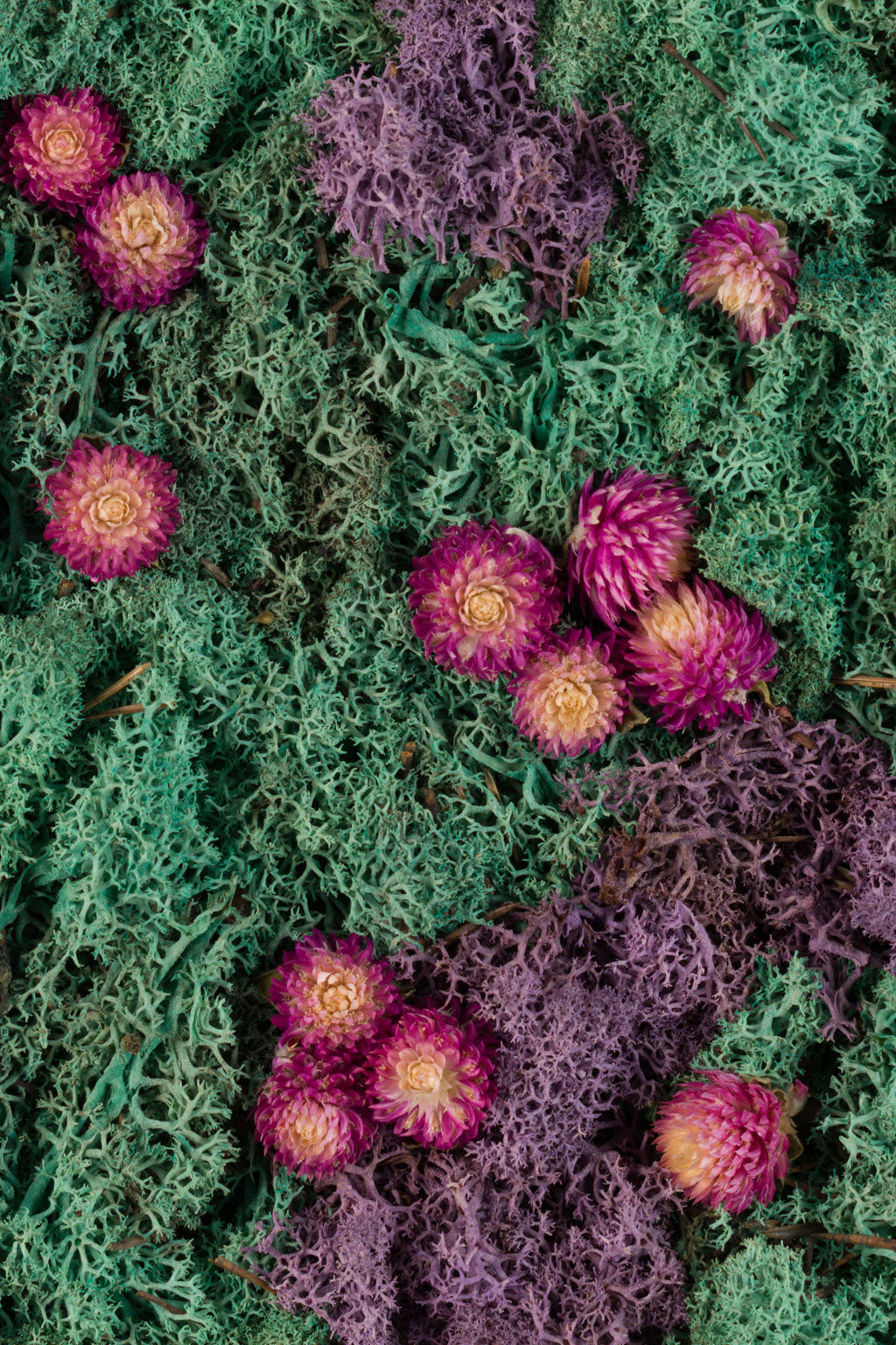 Emerald Cut - Fine Art Print