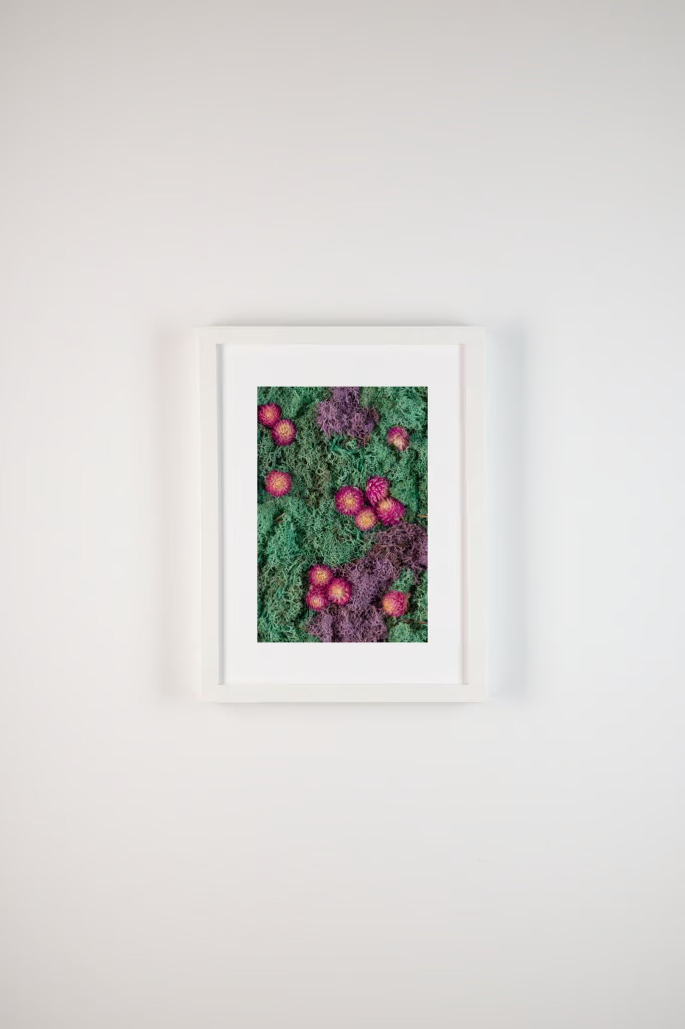 Pink flowers on purple and pacific green moss fine art print