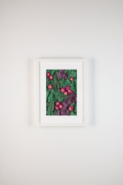 Pink flowers on purple and pacific green moss fine art print