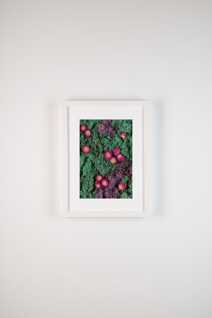 Emerald Cut - Fine Art Print