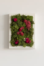 Enchanted Forest - XS - Moss Art