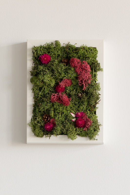 Enchanted Forest - XS - Moss Art