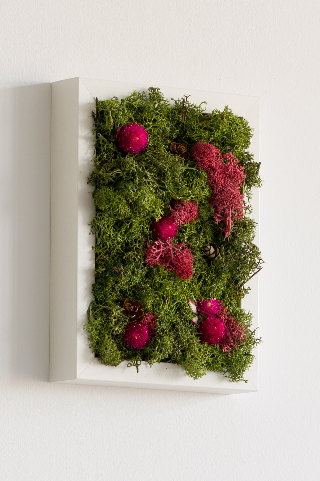 Enchanted Forest - XS - Moss Art