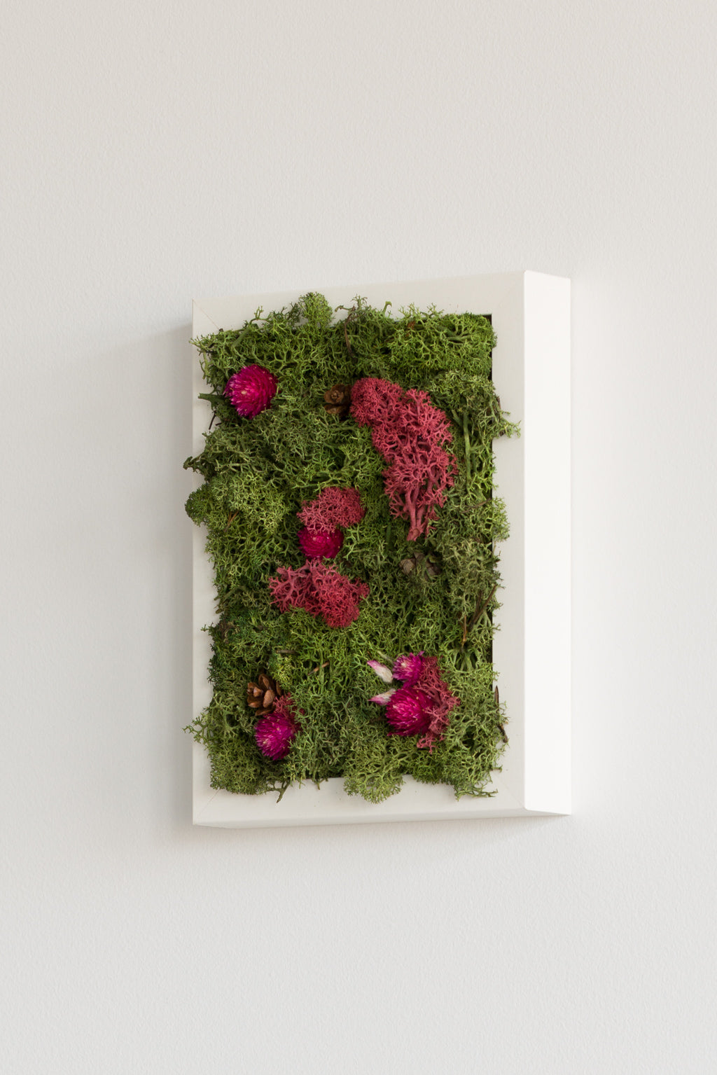 Enchanted Forest - XS - Moss Art